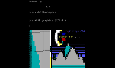 Intro screen of Citadel 64 BBS